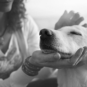 Unternehmen Gunter Seitz