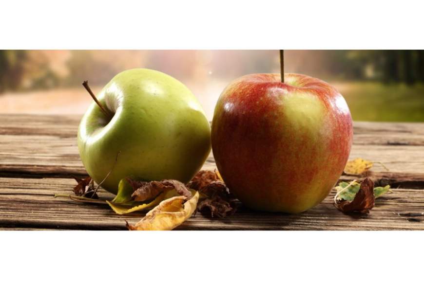 Galeriebild saftmanufaktur-roesch-1.jpg