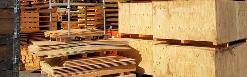 Galeriebild cropped_1707397363_0282757001707397317_782585.jpg