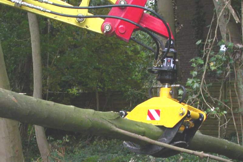 Galeriebild michael-fasselt-garten-und-landschaftsbau-baumfaellung.jpg