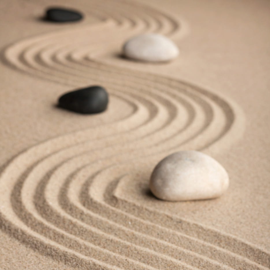 Galeriebild 0653809001755159171_782651.jpg