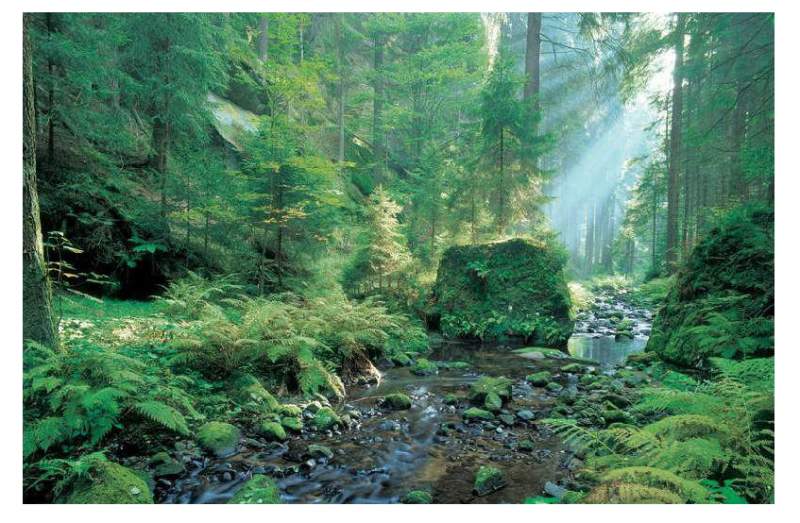 Galeriebild cropped_1756902603_0153850001756902590_782658.jpg