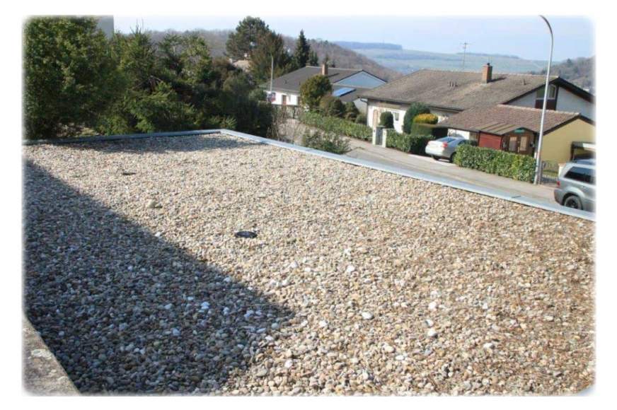 Galeriebild cropped_1667404234_0684275001667404123_782471.jpg