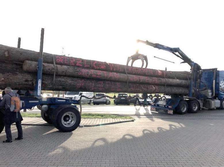 Galeriebild cropped_1703164316_0154167001703164278_782571.jpg