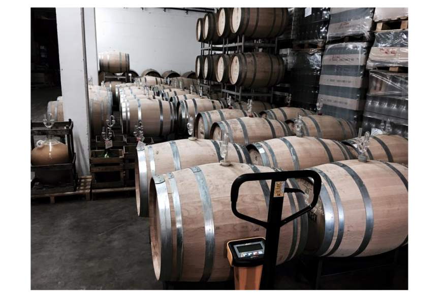 Galeriebild 14718821-807017879401112-5178968456144817529-n.jpg