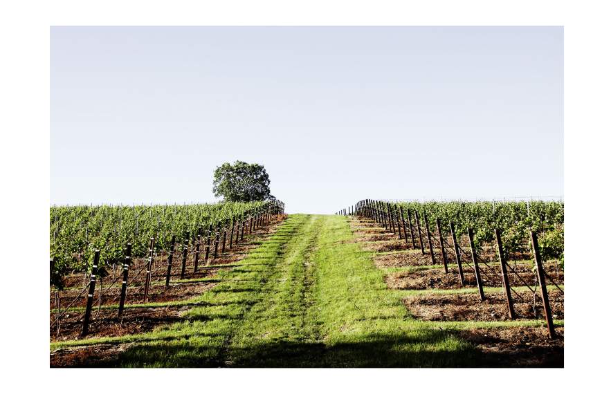 Galeriebild start.jpg