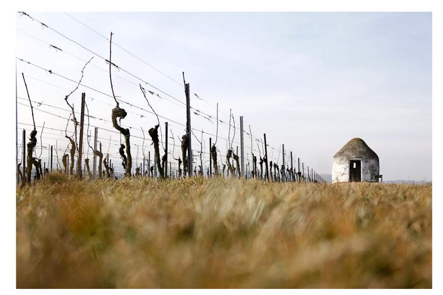 Galeriebild ziele-1.jpg