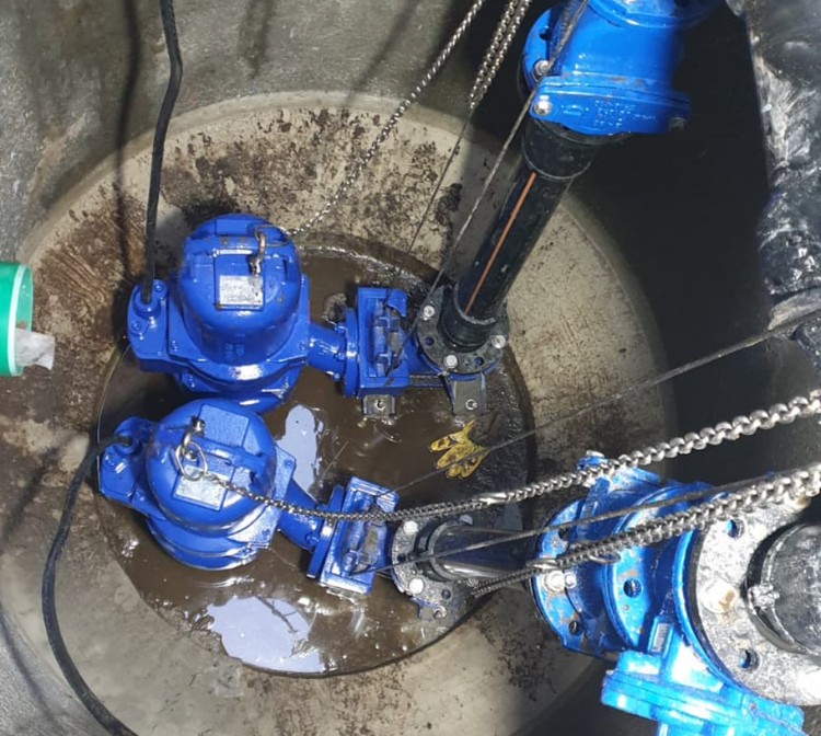 Galeriebild 0543492001750156119_782645.jpg