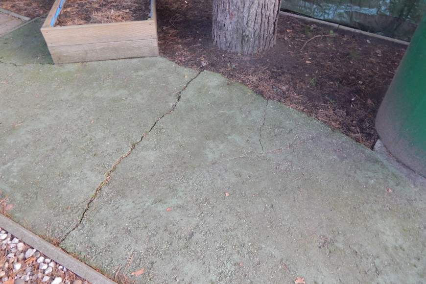 Galeriebild dscn1538.JPG