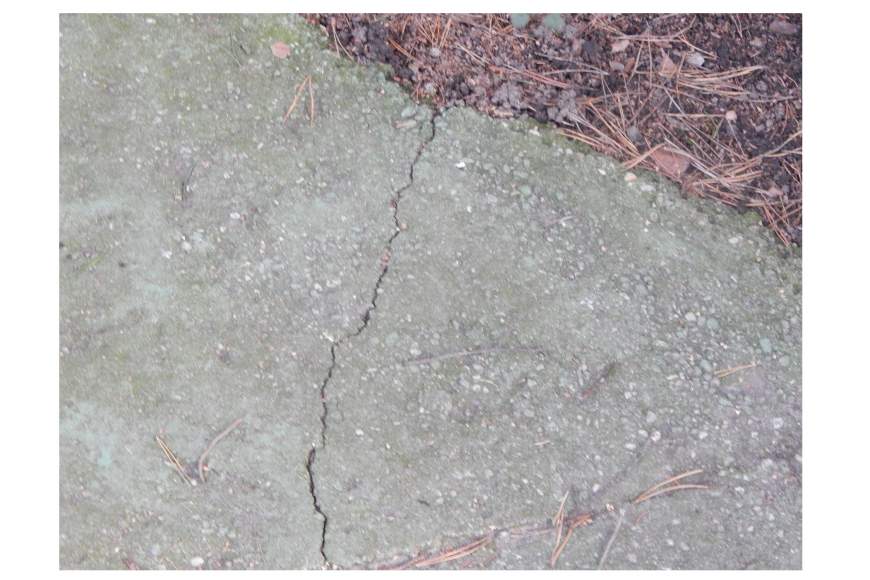 Galeriebild dscn1539.JPG