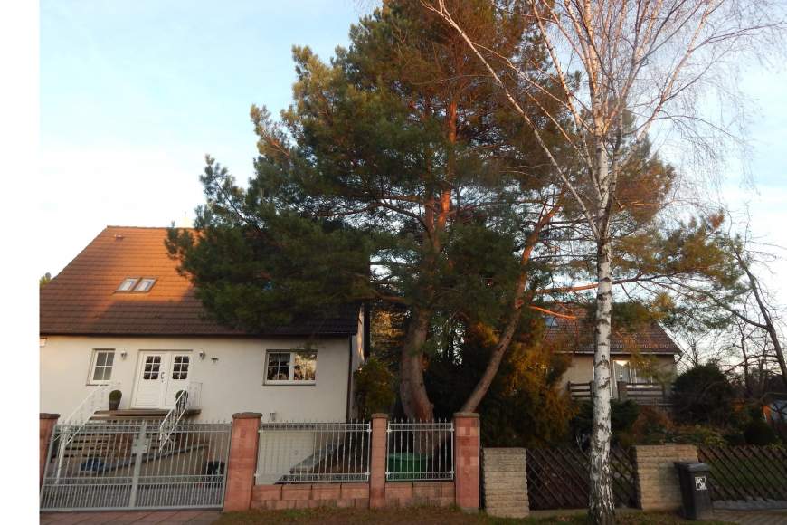 Galeriebild dscn1542.JPG