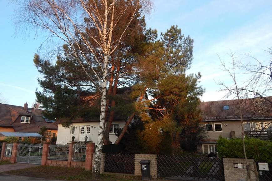 Galeriebild dscn1543.JPG