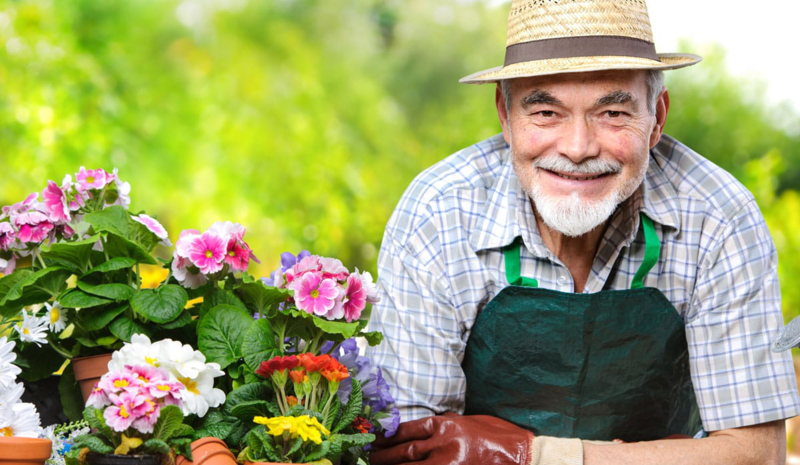 Galeriebild 0692661001771252419_782669.jpg