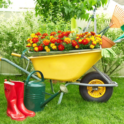 Galeriebild 0714144001771252419_782669.jpg