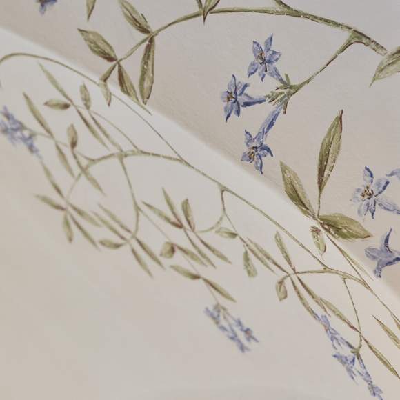 Galeriebild cropped_1708684694_0601085001708684687_782588.jpg